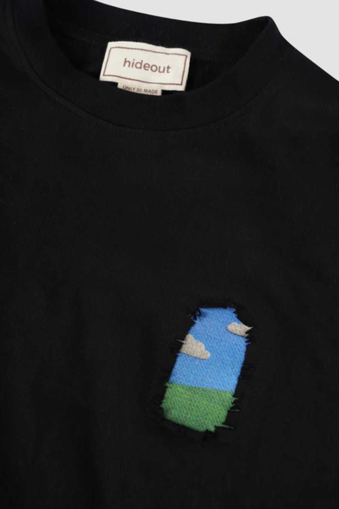 T-SHIRT GROWING FLOWERS WINDOW