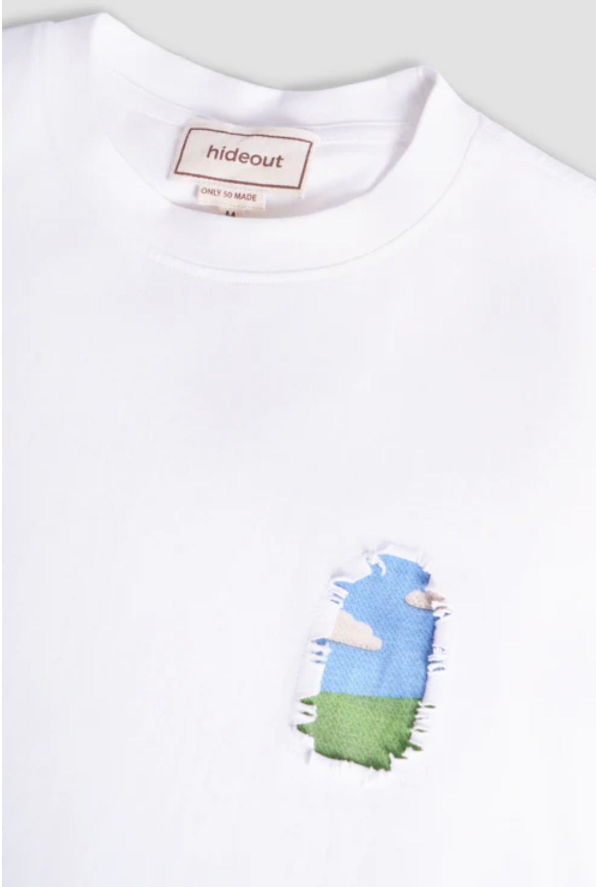 T-SHIRT GROWING FLOWERS WINDOW