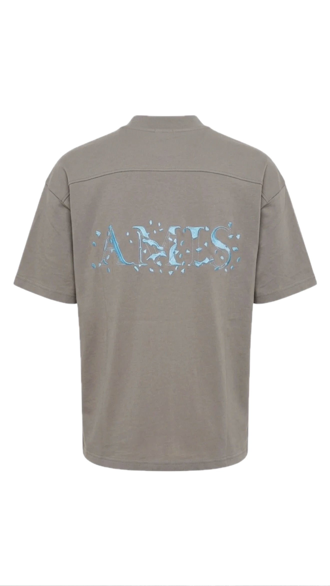 T-SHIRT AMIS GAVENSEMBLE