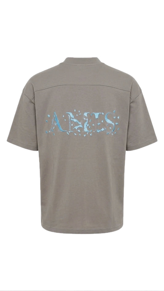 T-SHIRT AMIS GAVENSEMBLE