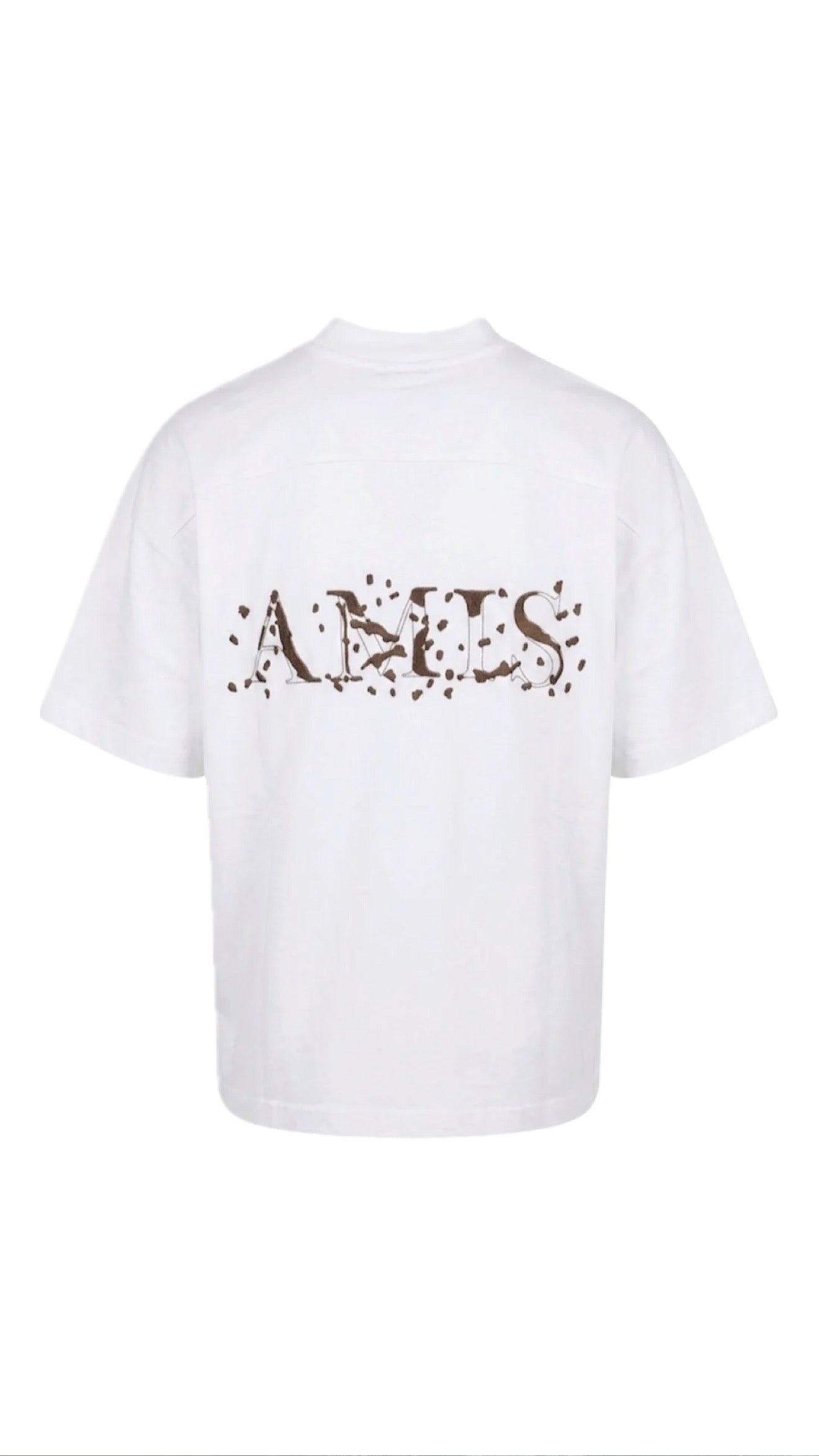T-SHIRT AMIS GAVENSEMBLE