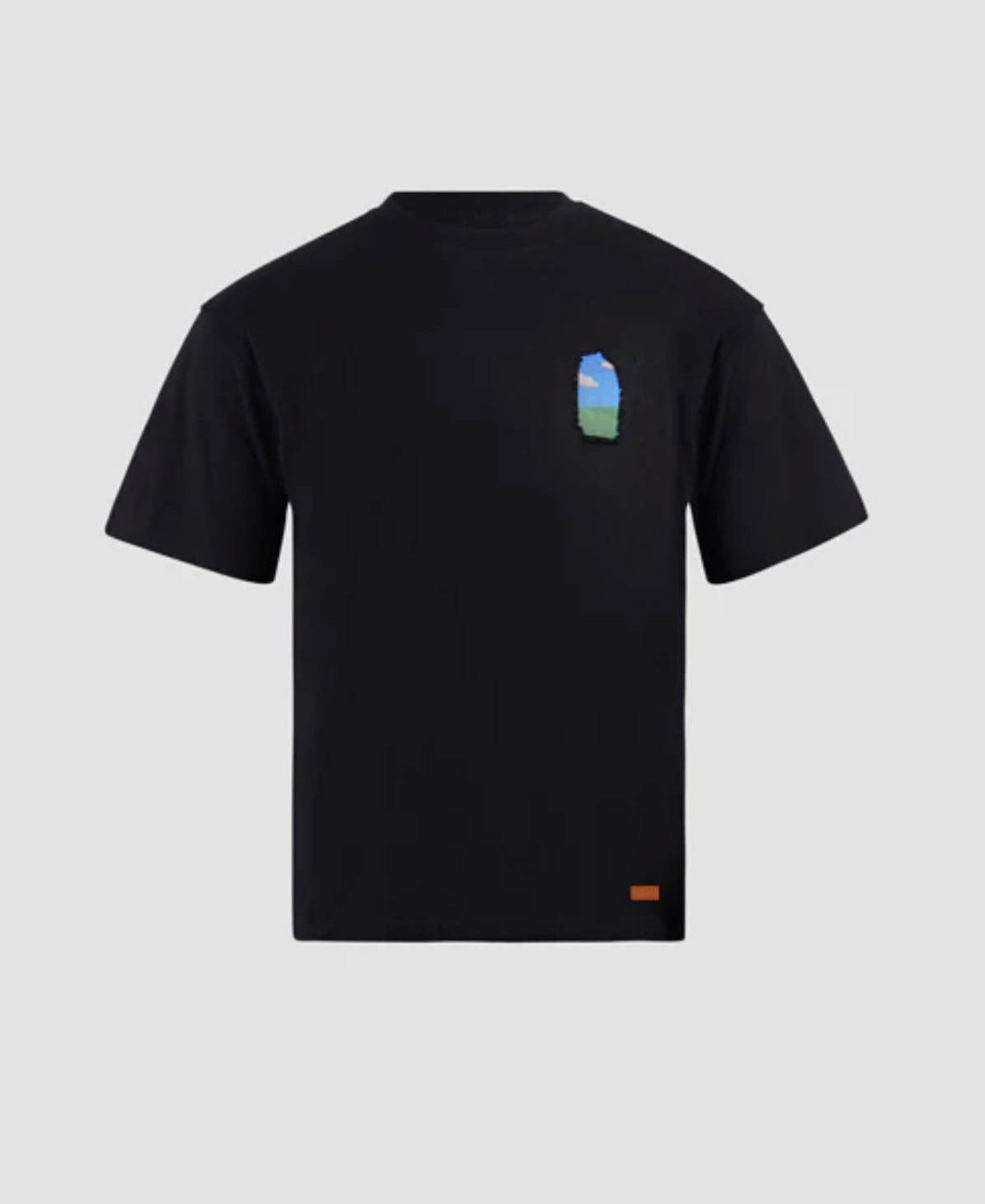T-SHIRT GROWING FLOWERS WINDOW