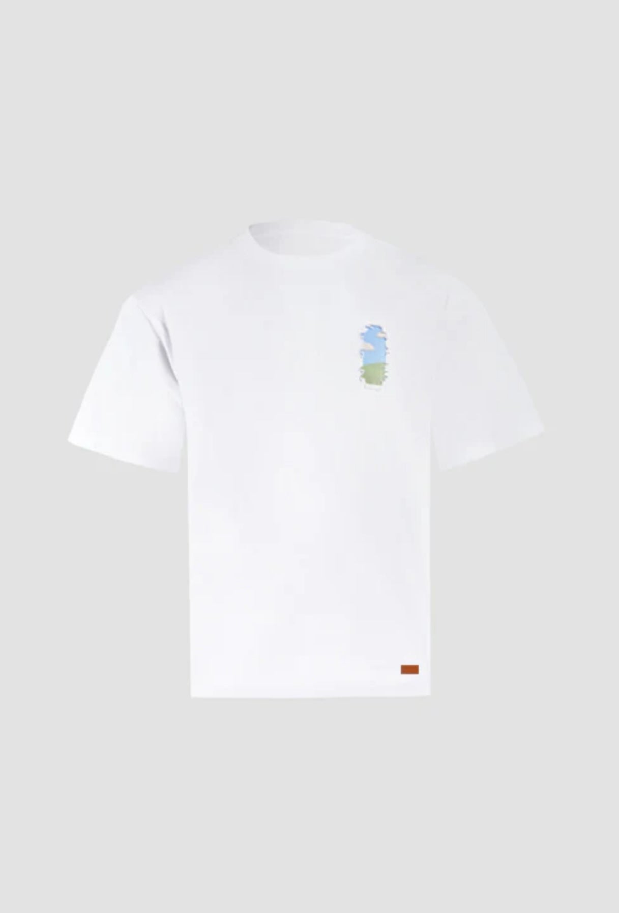 T-SHIRT GROWING FLOWERS WINDOW