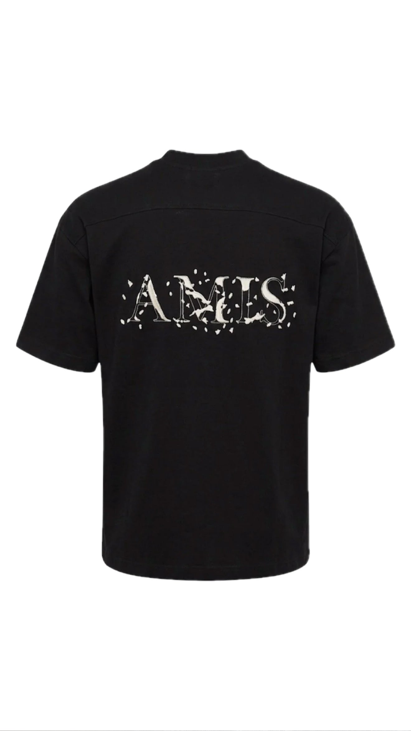 T-SHIRT AMIS GAVENSEMBLE